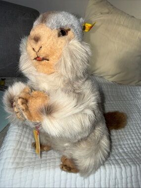 VTGSteiff Molly Piff Squirrel Mohair Button Ear Tag Chest Tag Germany 1950 rare